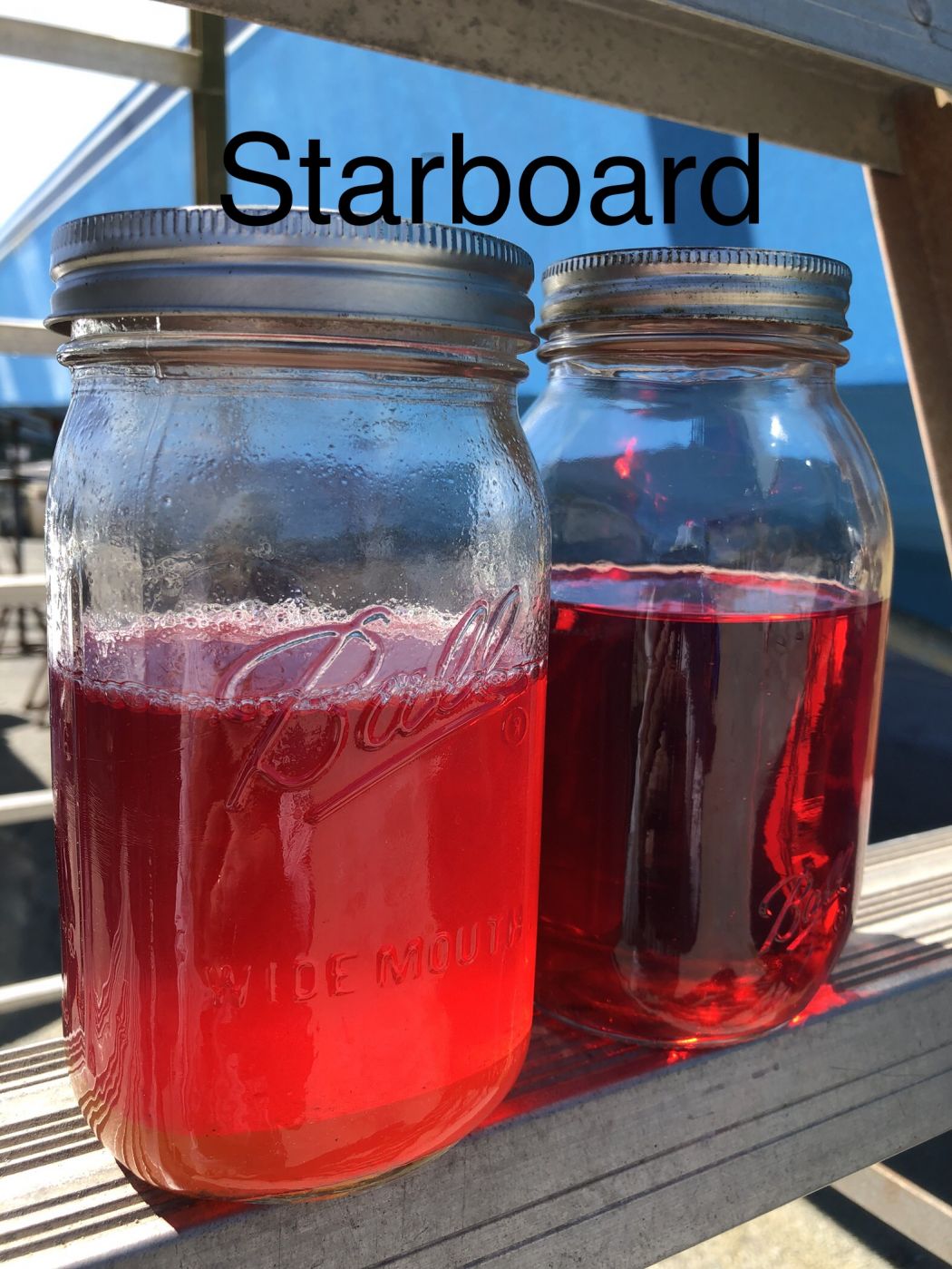 Sportfish Fuel Polishing