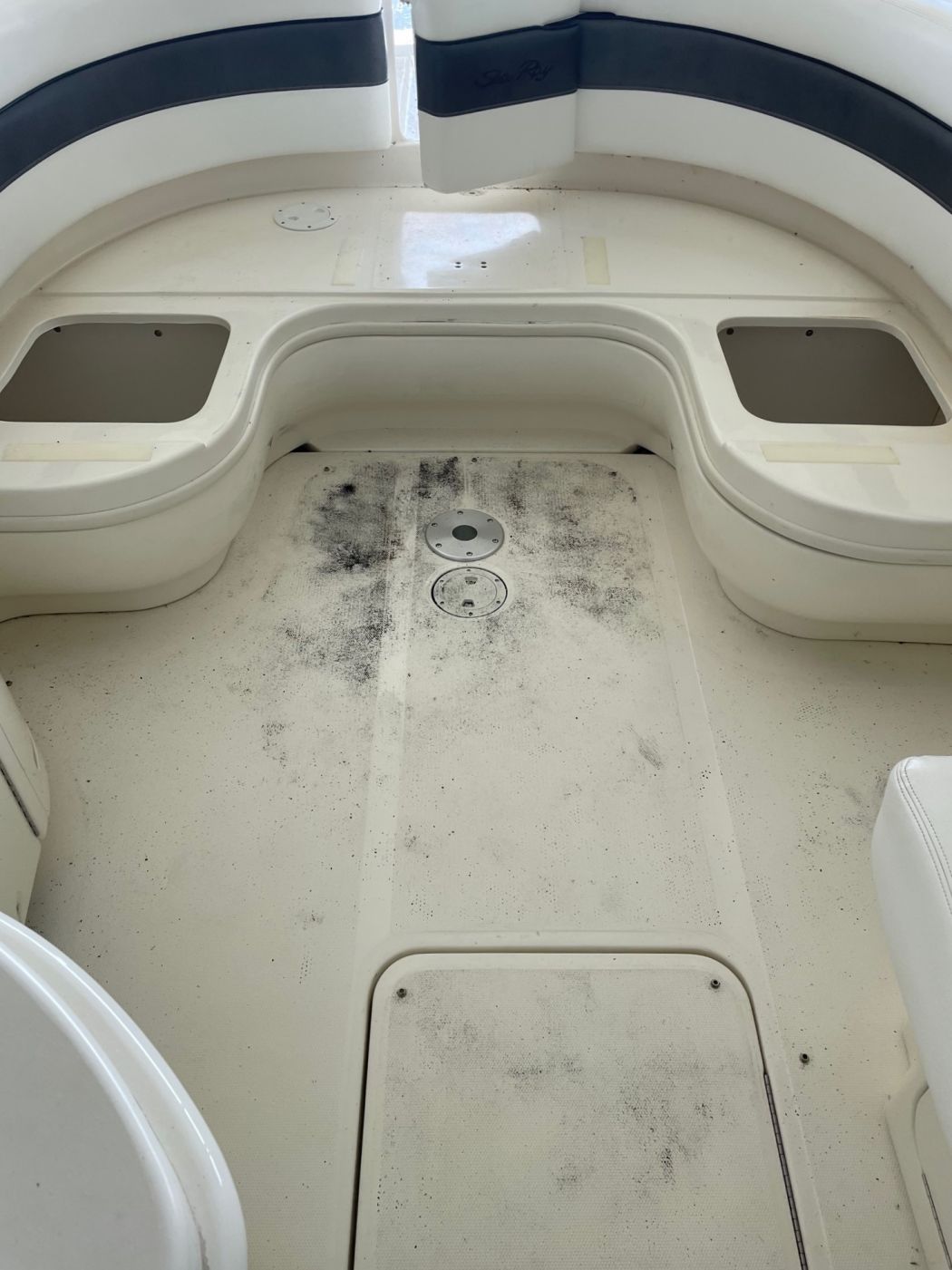 Sea Ray 290 SLX Boat Detailing