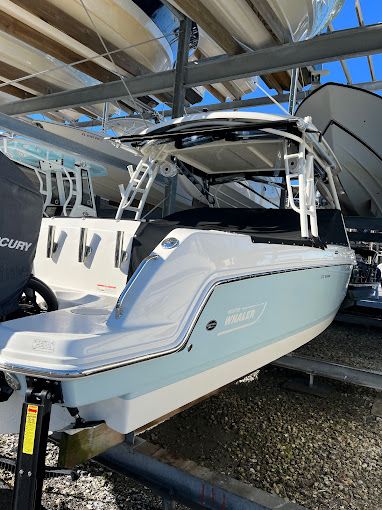 Boston Whaler Boat Detailing Florida