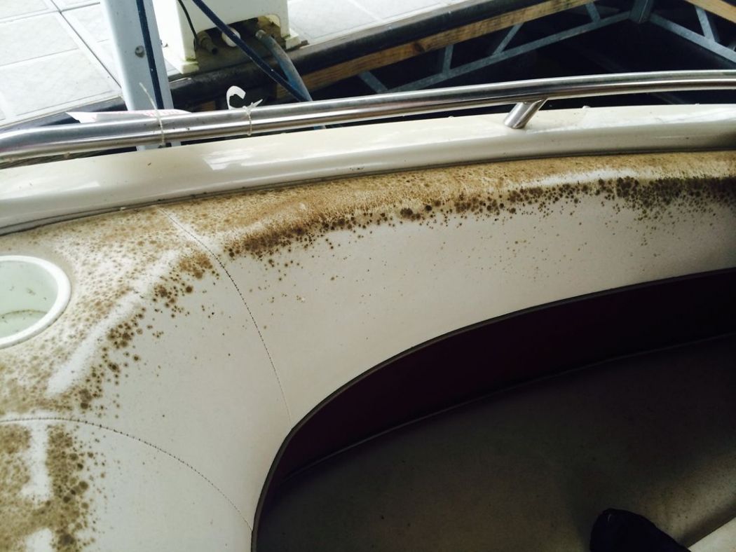 Interior Cleaning