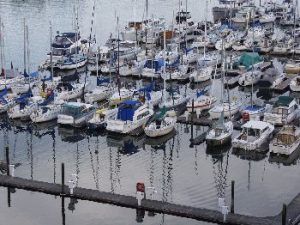 West Shore Marine Services