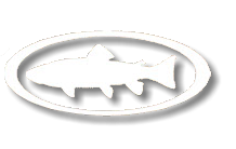 Cumberland Trout Fishing Guide Service – Cumberland River