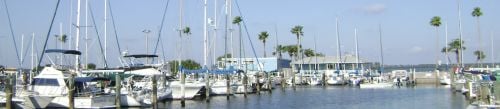 Dunedin Marina
