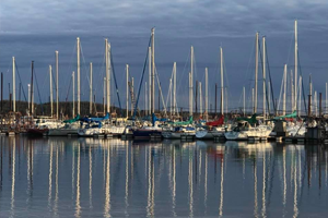 Cedar Mills Marina & Resort