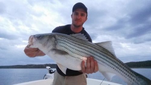 Lake Texoma Sportfishing