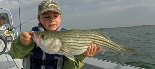 Scott Bridgess Fishing Guide