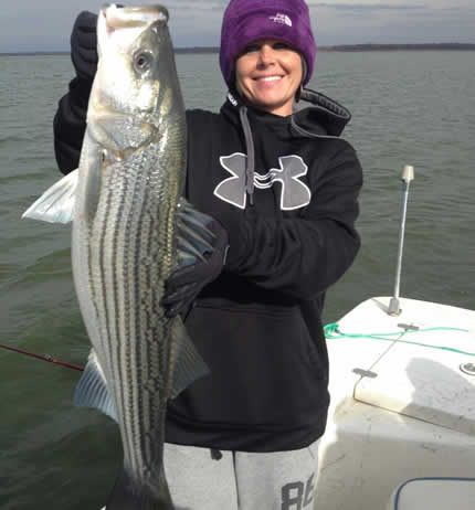 Striper Cat Guide Service