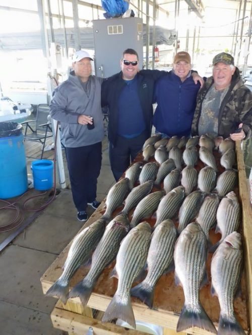 Striper Hunter Guide Service