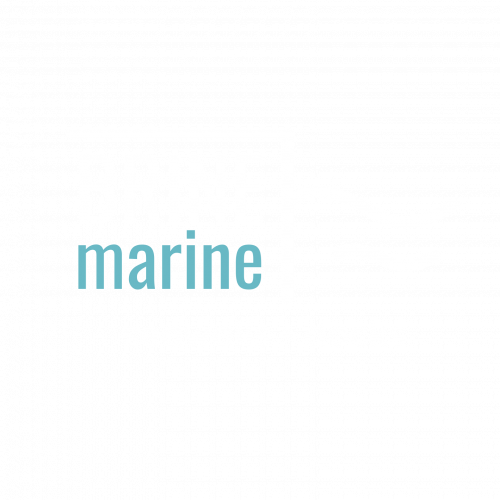 Brine Development Services