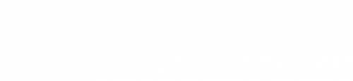 Paragon Details