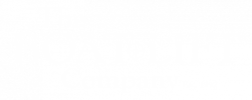 The Boat Lift Company