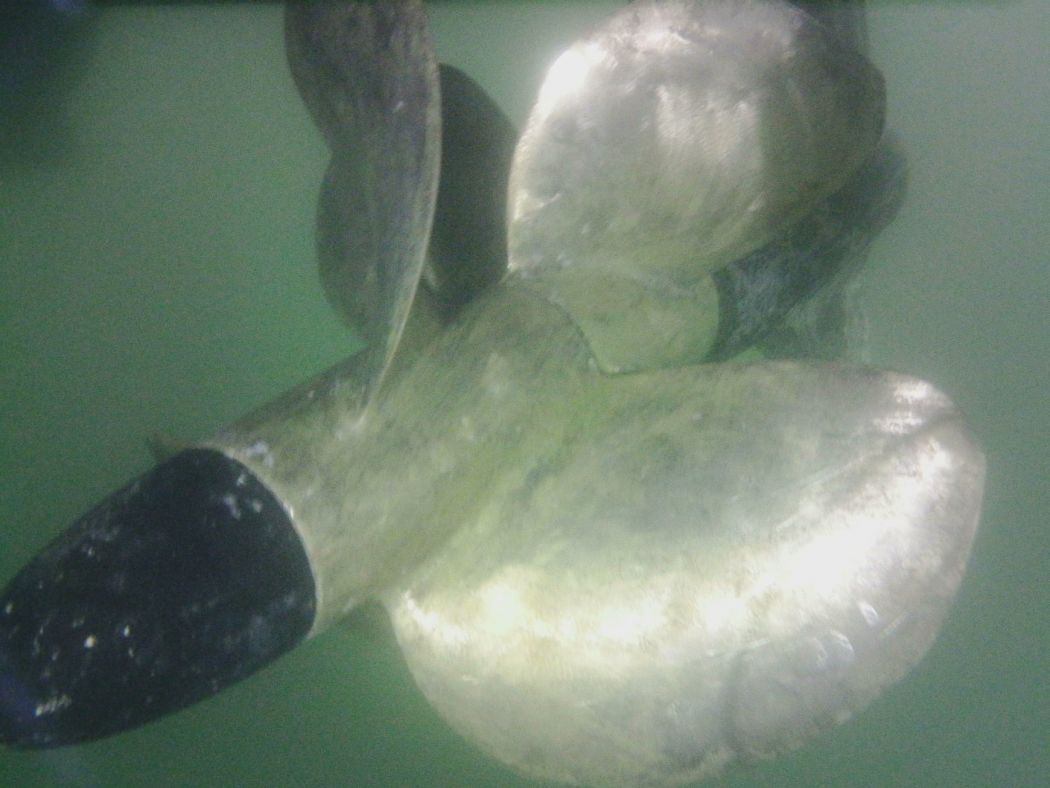 Hull Cleaning Fort Walton Beach