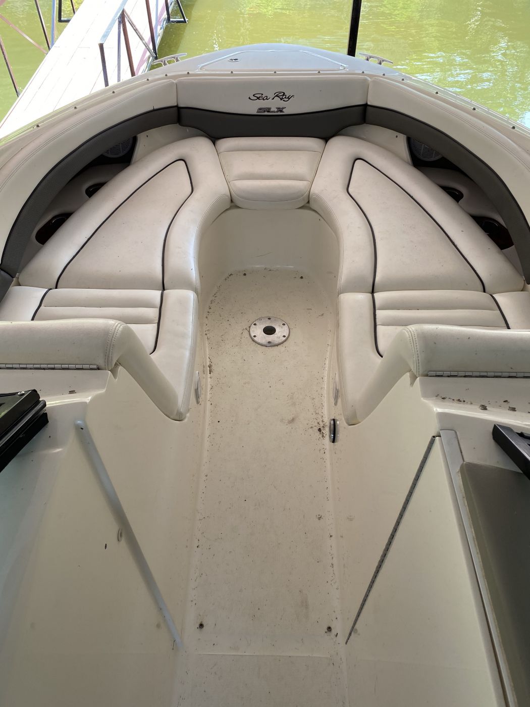 Sea Ray 250 SLX Boat Cleaning
