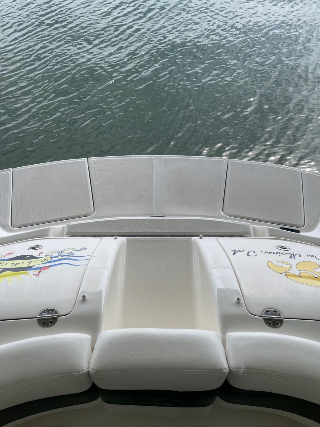 Sea Ray 290 SLX Boat Detailing