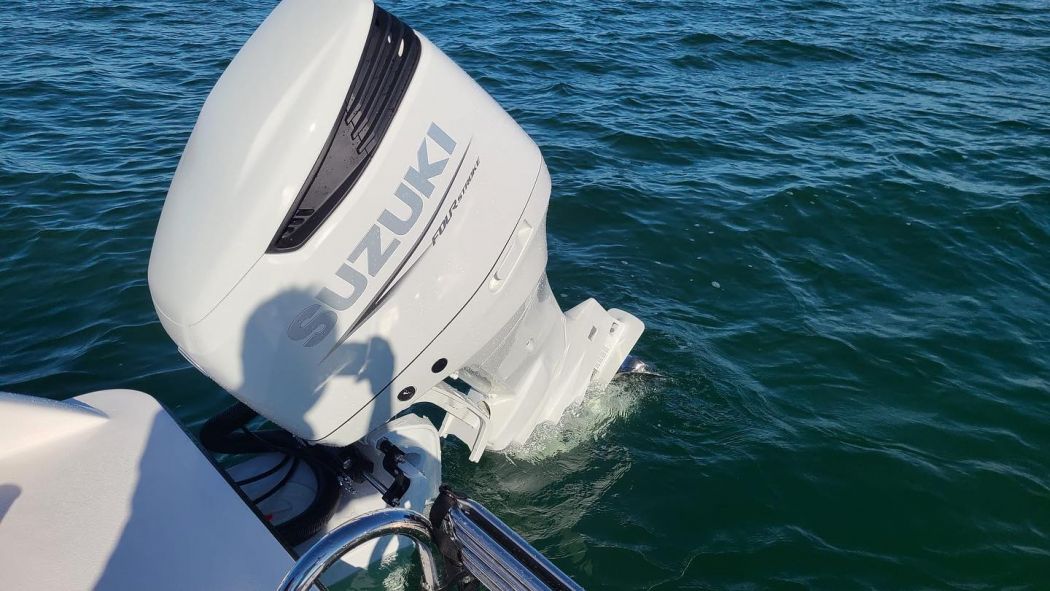 Suzuki Outboard Dealer Fort Myers