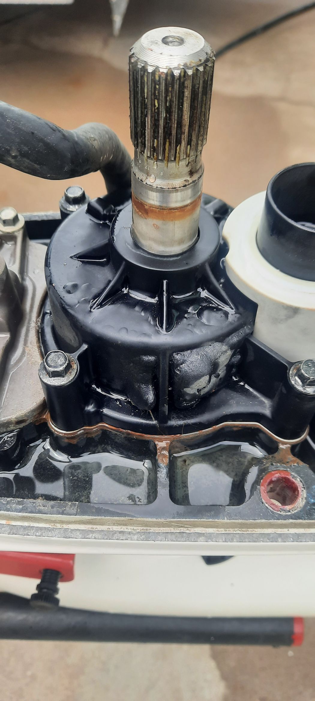Outboard Motor Mechanic Houston