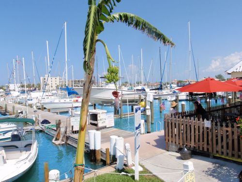 Blind Pass Marina