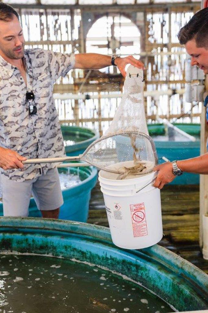 Bait Shop at Galveston Yacht Marina