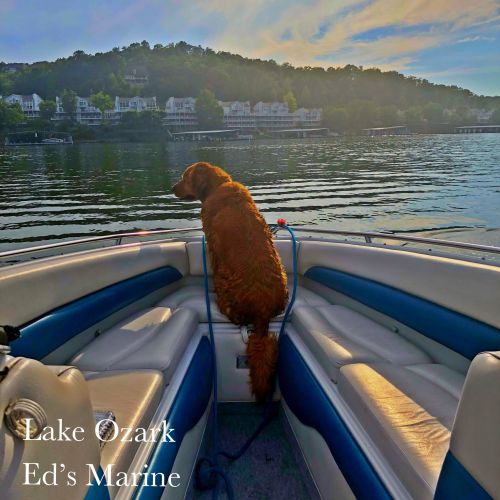 Ed’s Marine
