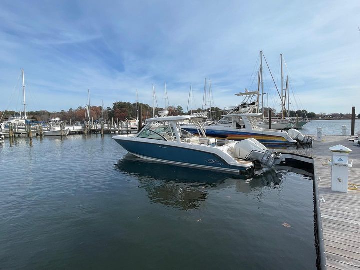 Boston Whaler Marine Survey