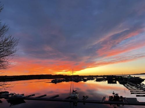 North Shore Marina