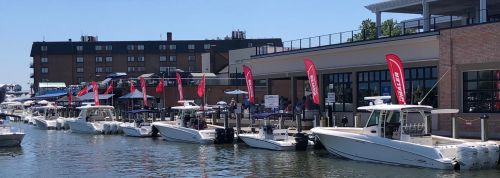 Chesapeake Whalertowne