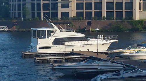 Party Cove Charters