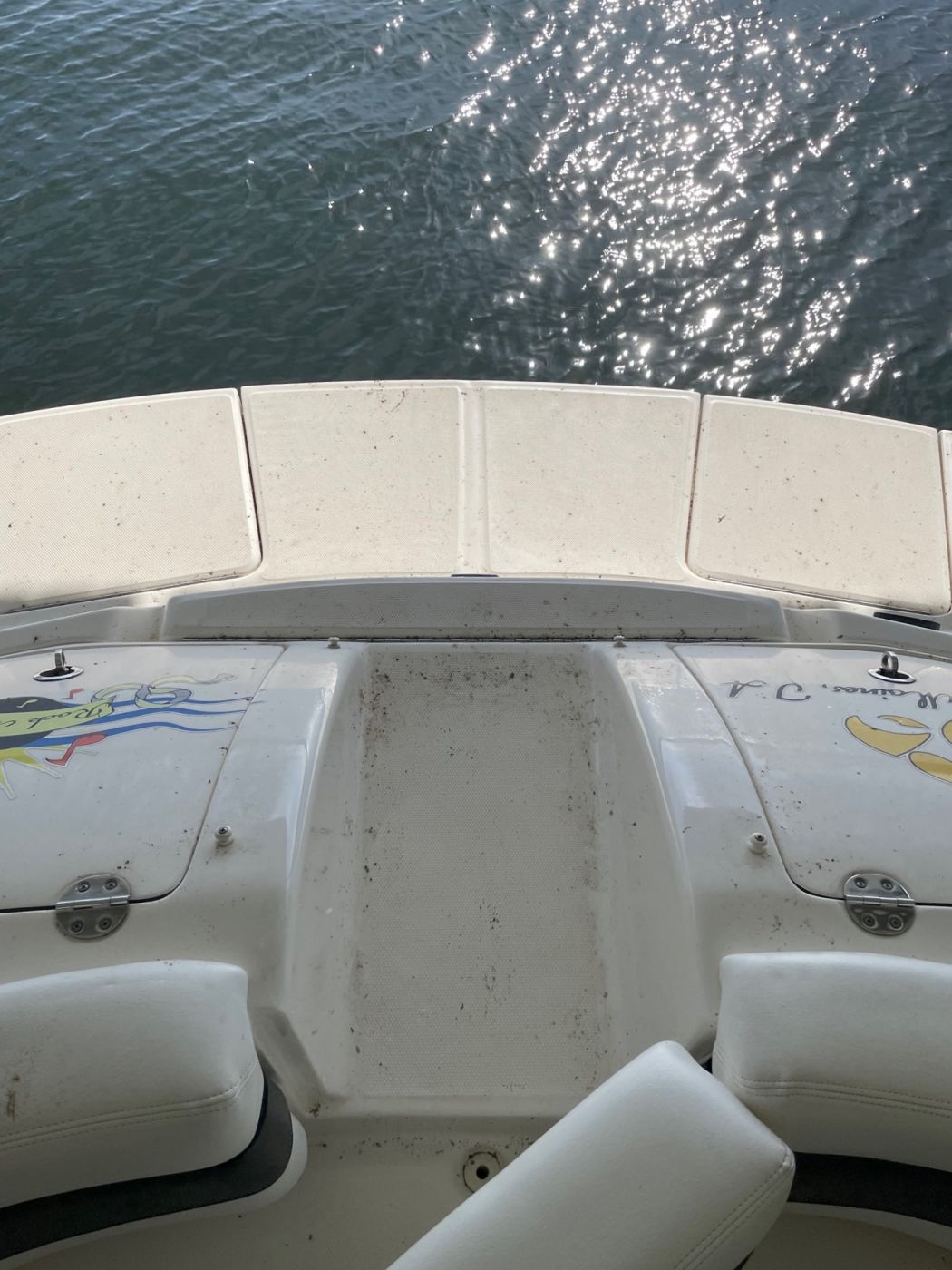 Sea Ray 290 SLX Boat Detailing