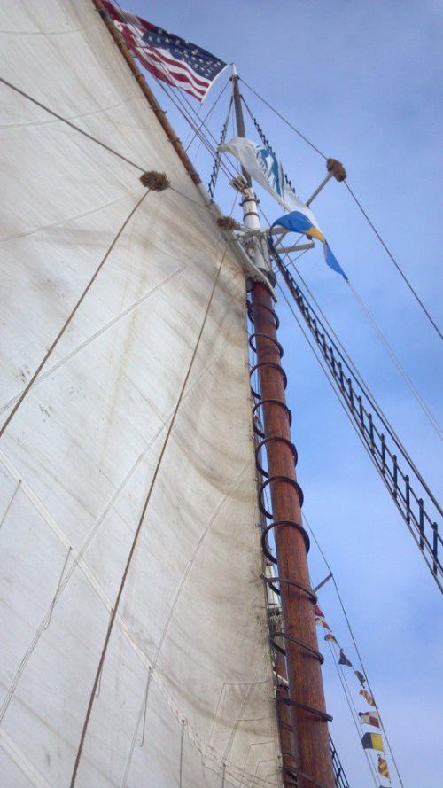 Yacht Management and Captain Services International, Inc