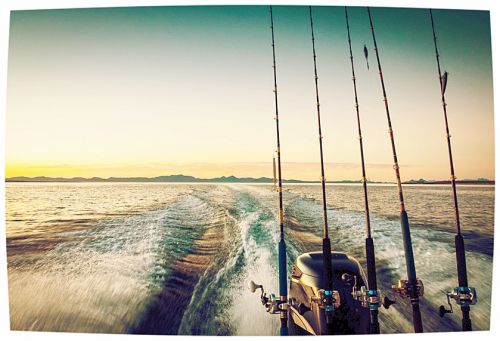 Wake Falls Marine