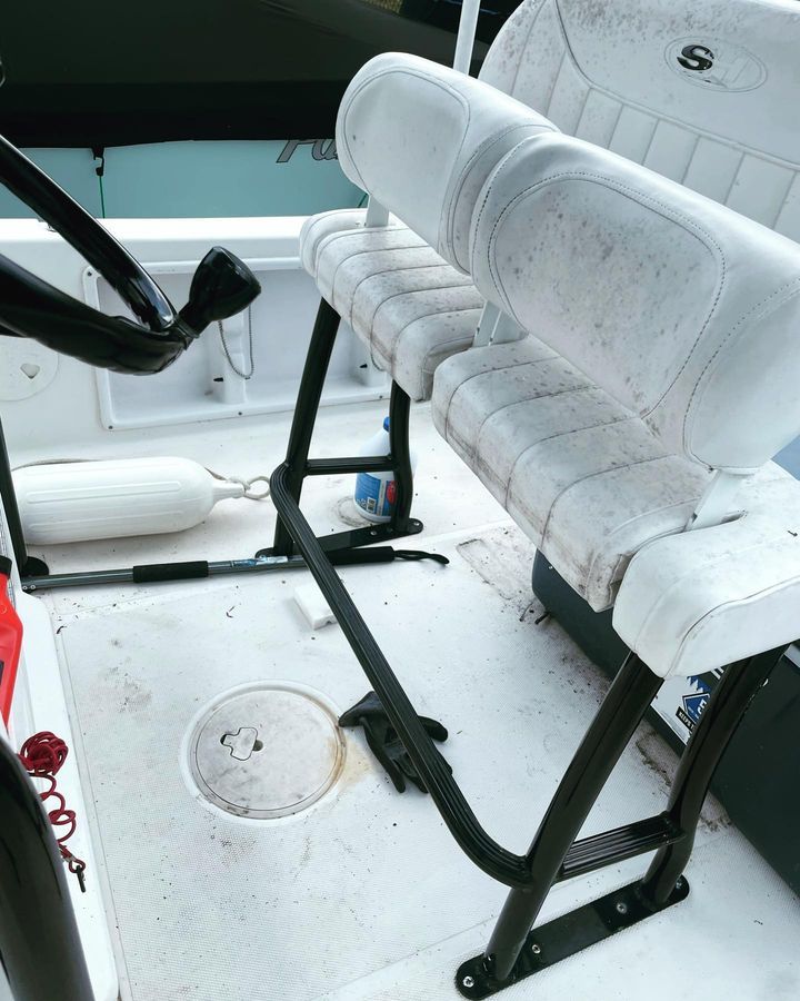 Upholstery mold & mildew removal Sarasota Florida