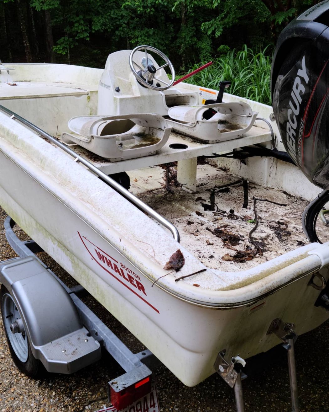 Boston Whaler Boat Detailing