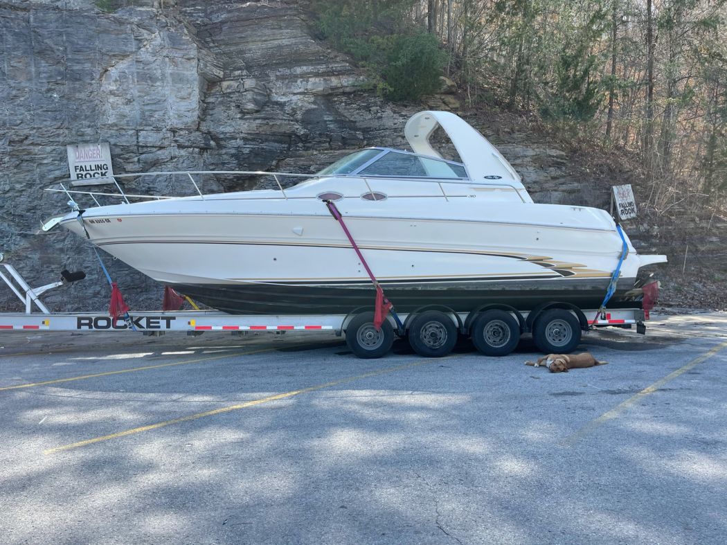 Sundancer 310