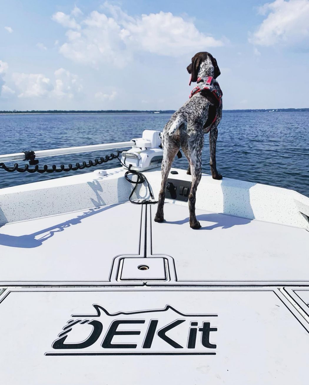 DEKit Dealer Savannah