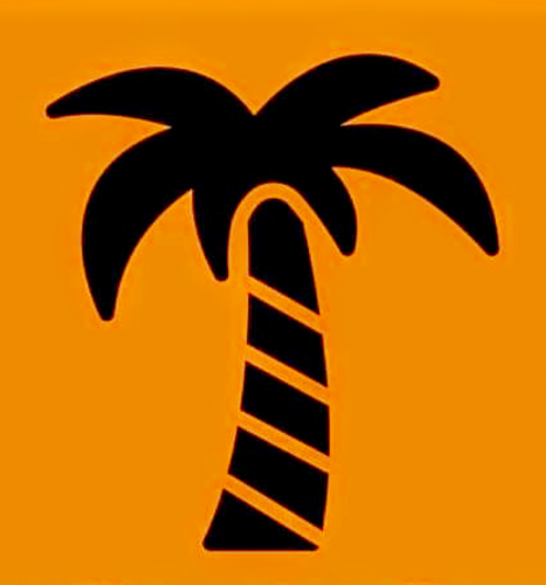 Paradise Detail Services