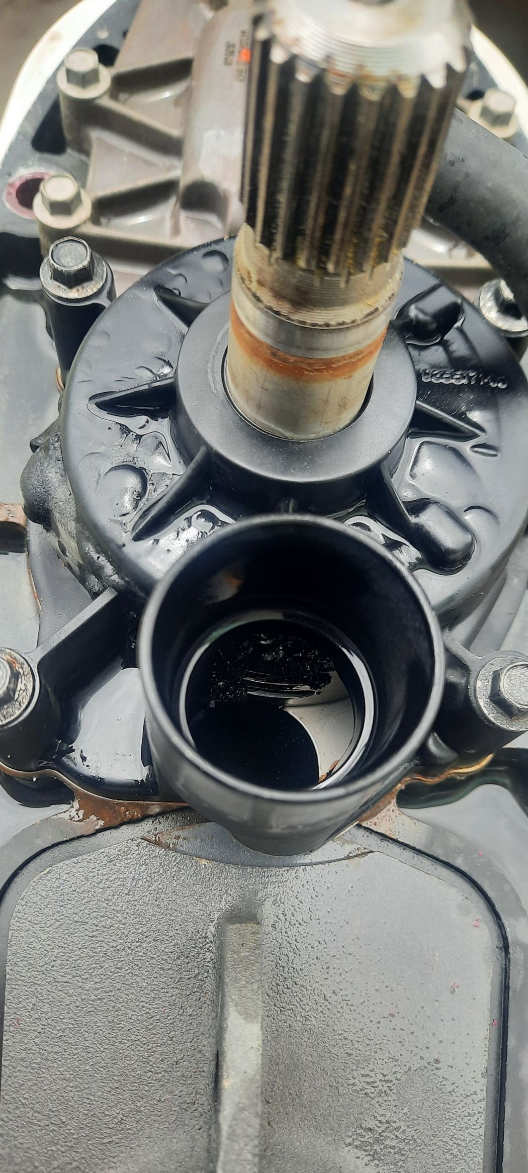 Outboard Motor Mechanic Houston