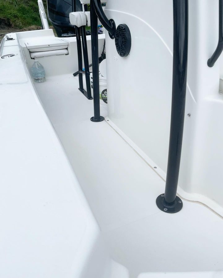 Upholstery mold & mildew removal Sarasota Florida
