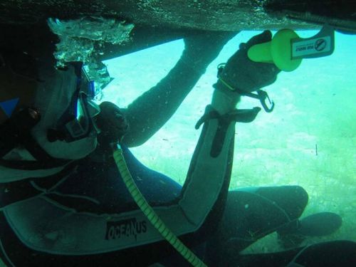 Quest Dive Service