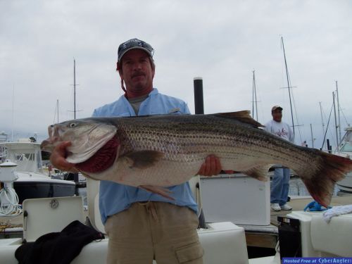 Kingfisher Fishing Charter