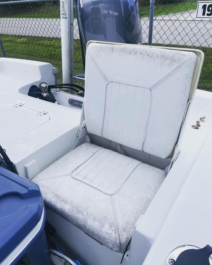Upholstery mold & mildew removal Sarasota Florida