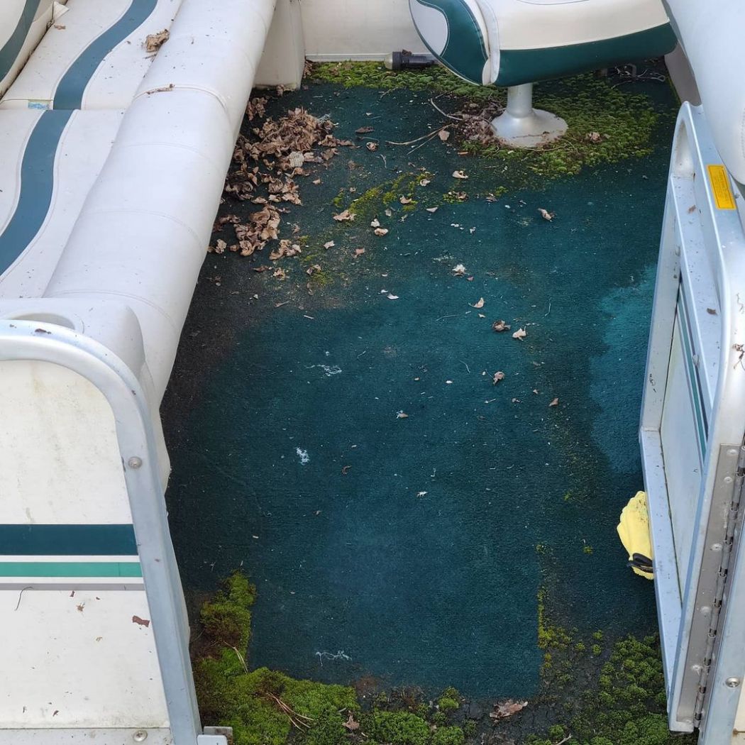 Pontoon Boat Detailing